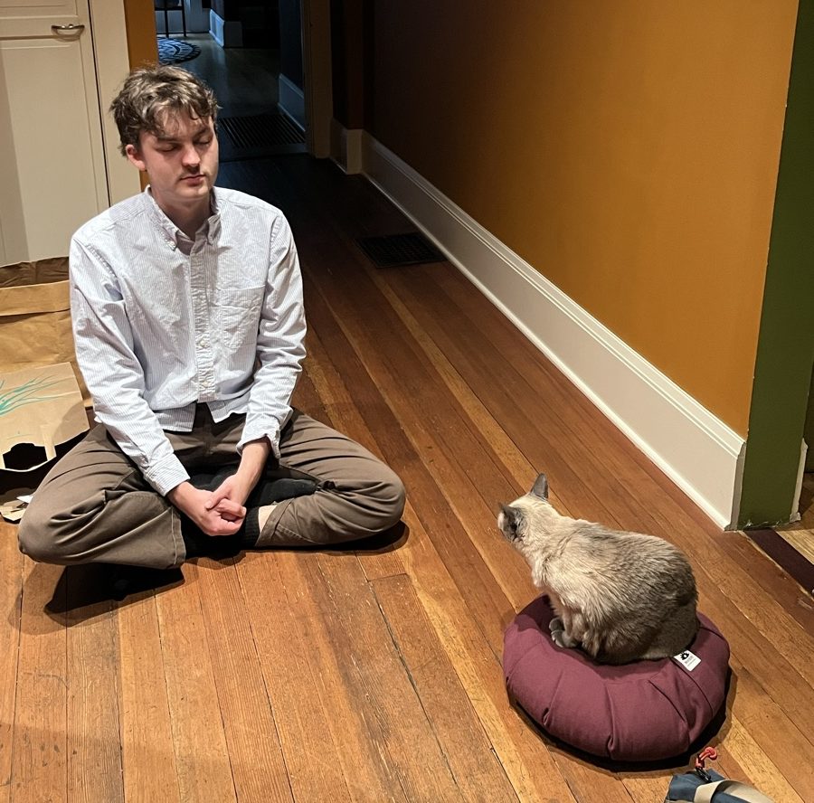 Ben meditating on the floor while a cat sits on his meditation cushion